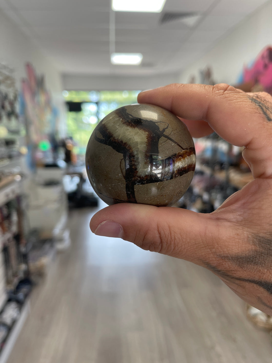 Septarian